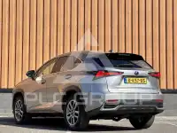 2019 Lexus NX300