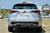 2019 Lexus NX300