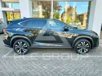 2019 Lexus NX300