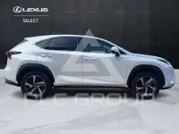 2019 Lexus NX300