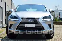 2019 Lexus NX300