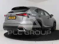2019 Lexus NX300