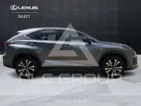 2019 Lexus NX300