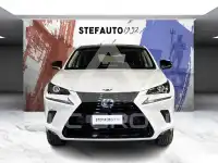 2019 Lexus NX300