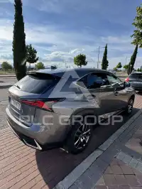 2019 Lexus NX300
