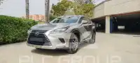 2019 Lexus NX300