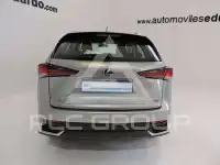 2019 Lexus NX300