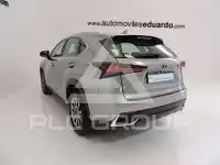 2019 Lexus NX300