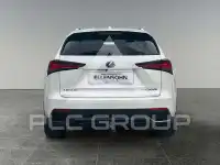 2019 Lexus NX300