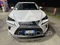 2019 Lexus NX300