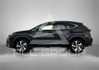 2019 Lexus NX300