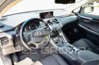 2019 Lexus NX300