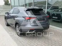 2019 Lexus NX300