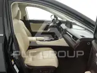 2019 Lexus RX450