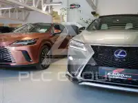 2019 Lexus RX450