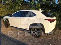 2019 Lexus Other