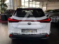 2019 Lexus Other