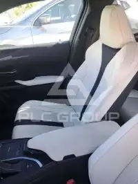 2019 Lexus Other