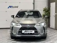 2019 Lexus Other