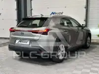 2019 Lexus Other