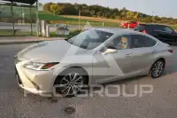 2019 Lexus Other