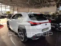2019 Lexus Other