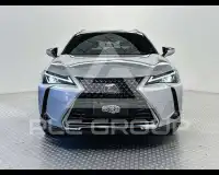 2019 Lexus UX250