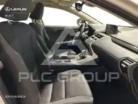 2019 Lexus NX200T
