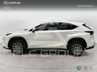 2019 Lexus NX200T