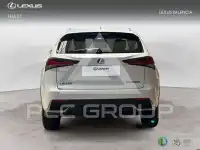 2019 Lexus NX200T