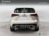 2019 Lexus NX200T