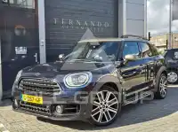 2019 Mini Unknown