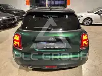 2019 Mini Unknown