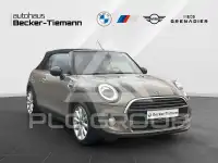 2019 Mini 