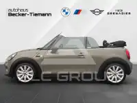 2019 Mini 