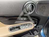 2019 Mini Unknown