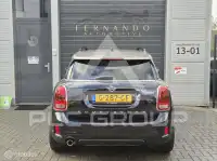 2019 Mini Unknown