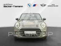 2019 Mini 