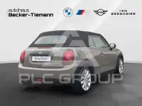 2019 Mini 