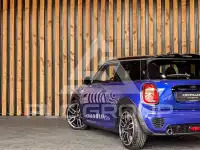 2019 Mini Unknown