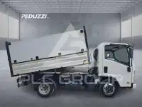 2019 Isuzu Elf / N-Series