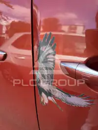 2019 Toyota Ace