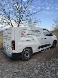 2019 Toyota Ace
