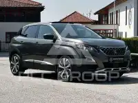 2019 Peugeot 3008