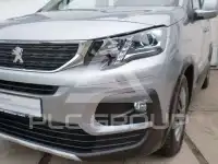 2019 Peugeot Rifter