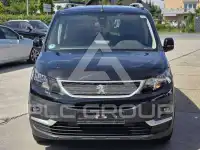 2019 Peugeot Rifter