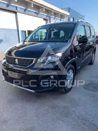 2019 Peugeot Rifter