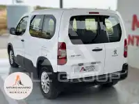 2019 Peugeot Rifter