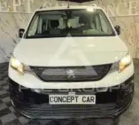2019 Peugeot Rifter