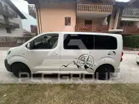 2019 Peugeot Traveller